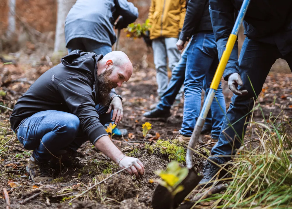 Simon pflanzt gemeinsam mit anderen bei einer Baumpflanzaktion im Wald