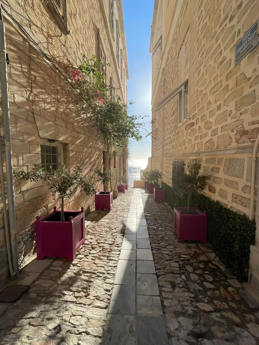 Schmale gepflasterte Gasse in Ermoupoli mit Olivenbäumchen in pinken Kübeln, am Ende glitzert das Meer.